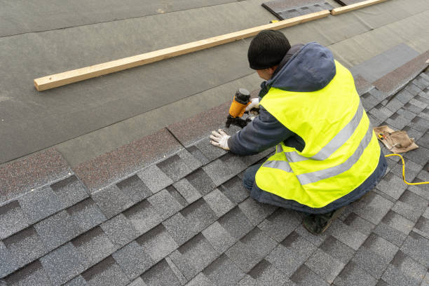 Best Local Roofing Companies  in Nesquehoning, PA