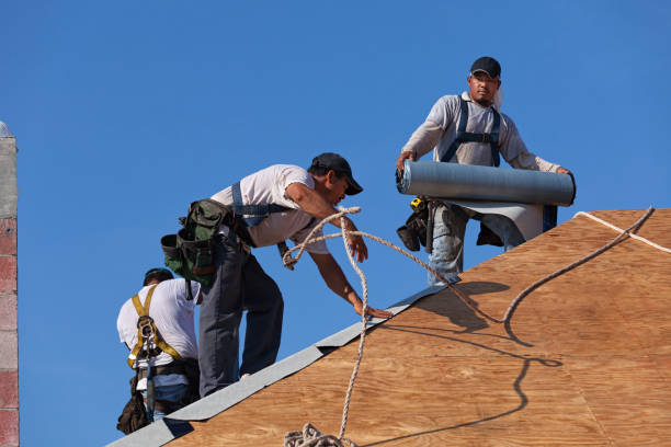 Best Emergency Roof Repair  in Nesquehoning, PA