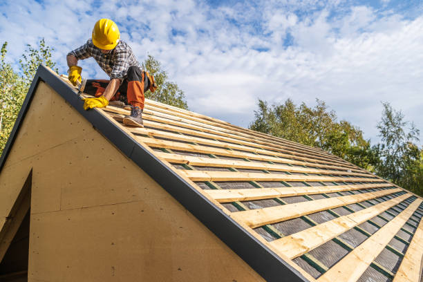 Best Roof Gutter Cleaning  in Nesquehoning, PA