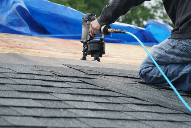Best Local Roofing Companies  in Nesquehoning, PA